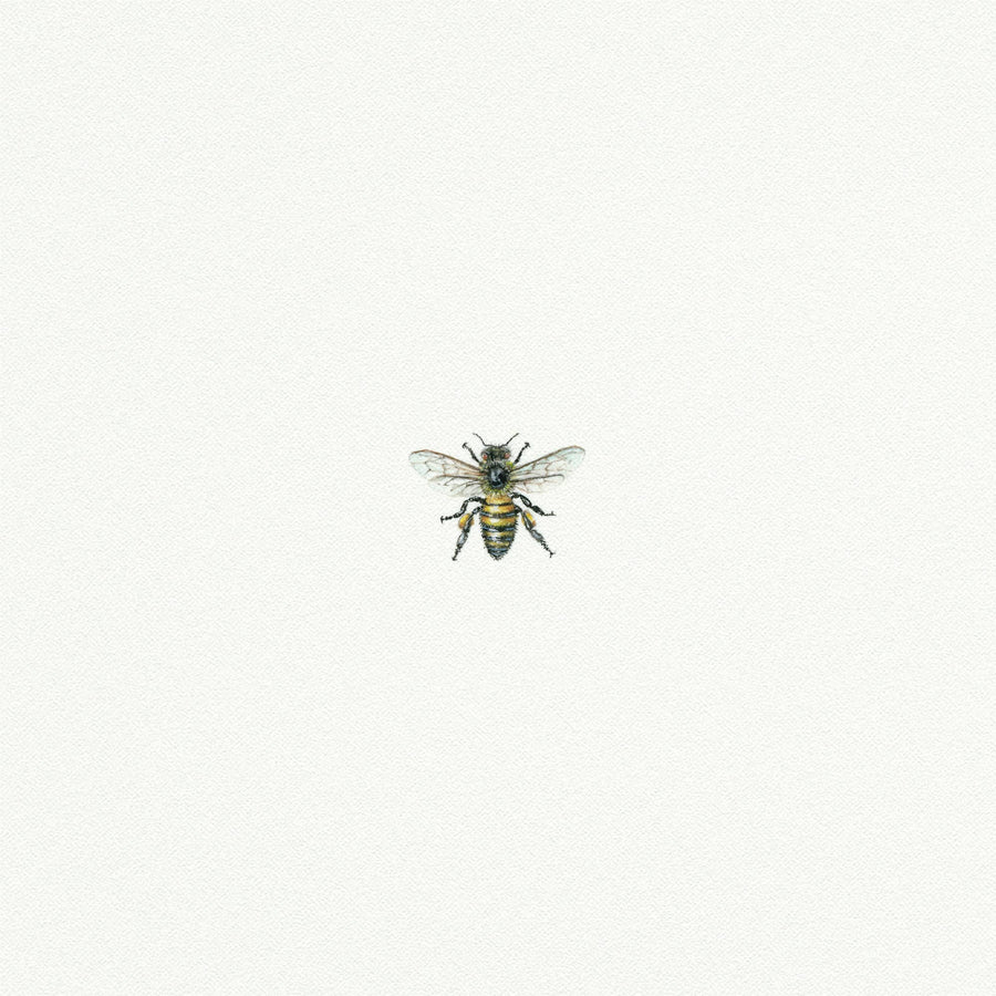 Bee Miniature Watercolor Print