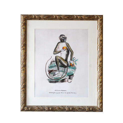 Hampshire Matted Frame - Assorted Sizes