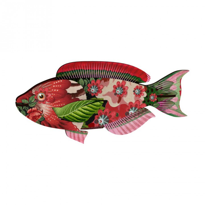 Abracadabra Decorative Fish
