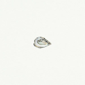 Oyster Miniature Watercolor Print