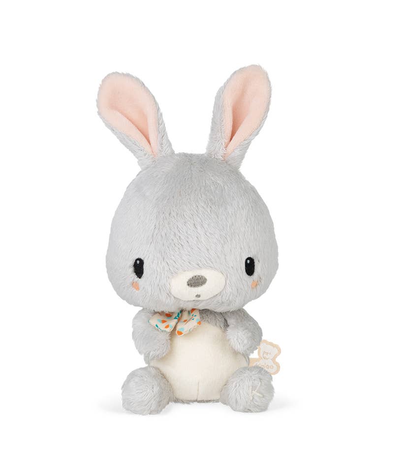 Choo Rabbit Plush - Box Turtle