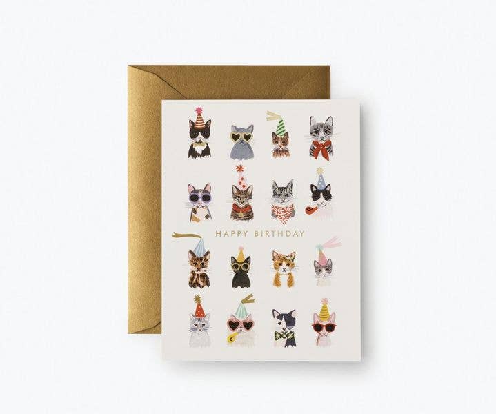 Cool Cats Birthday Card - Box Turtle