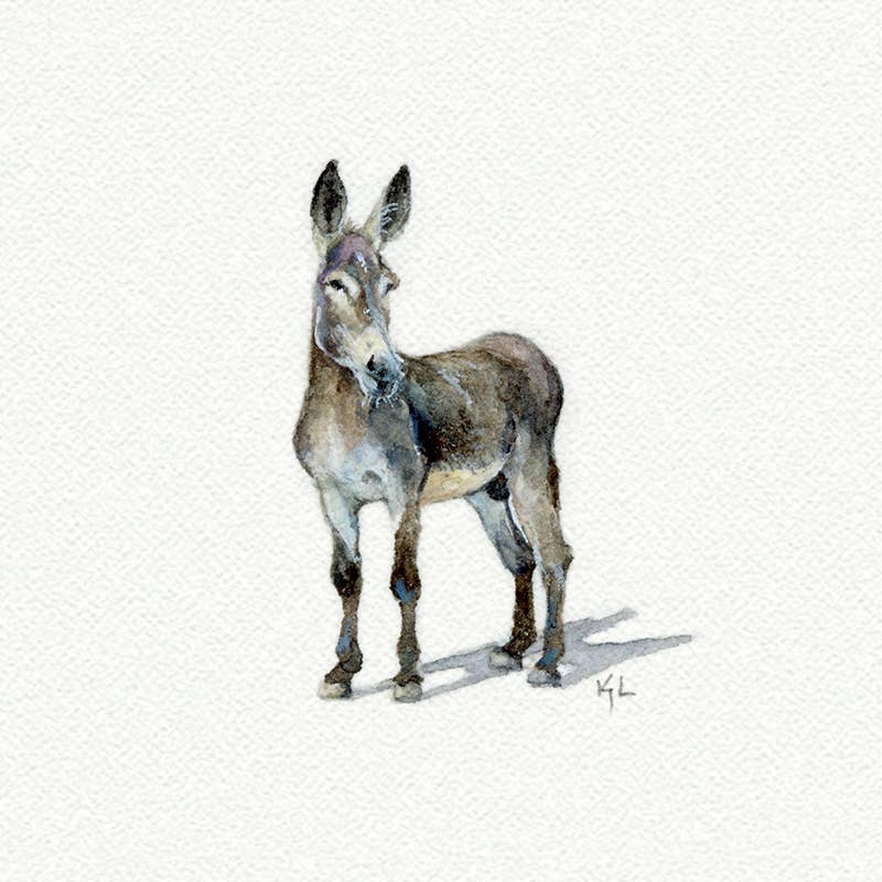 Donkey Miniature Watercolor Print - Box Turtle