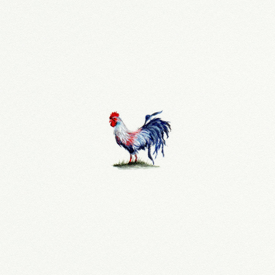 Chicken Miniature Watercolor Print