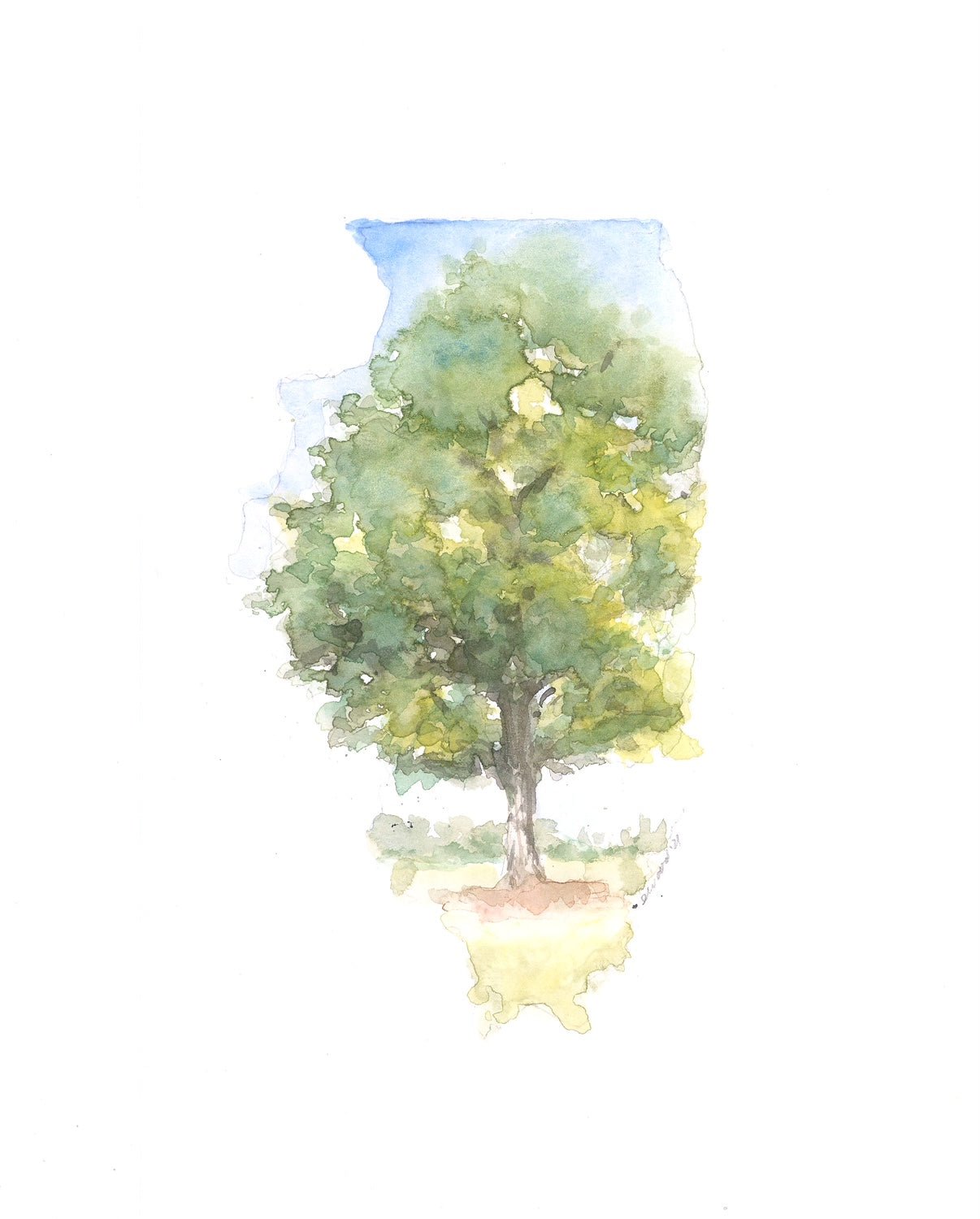 Emily Wood State Tree Watercolor Prints - Box Turtle