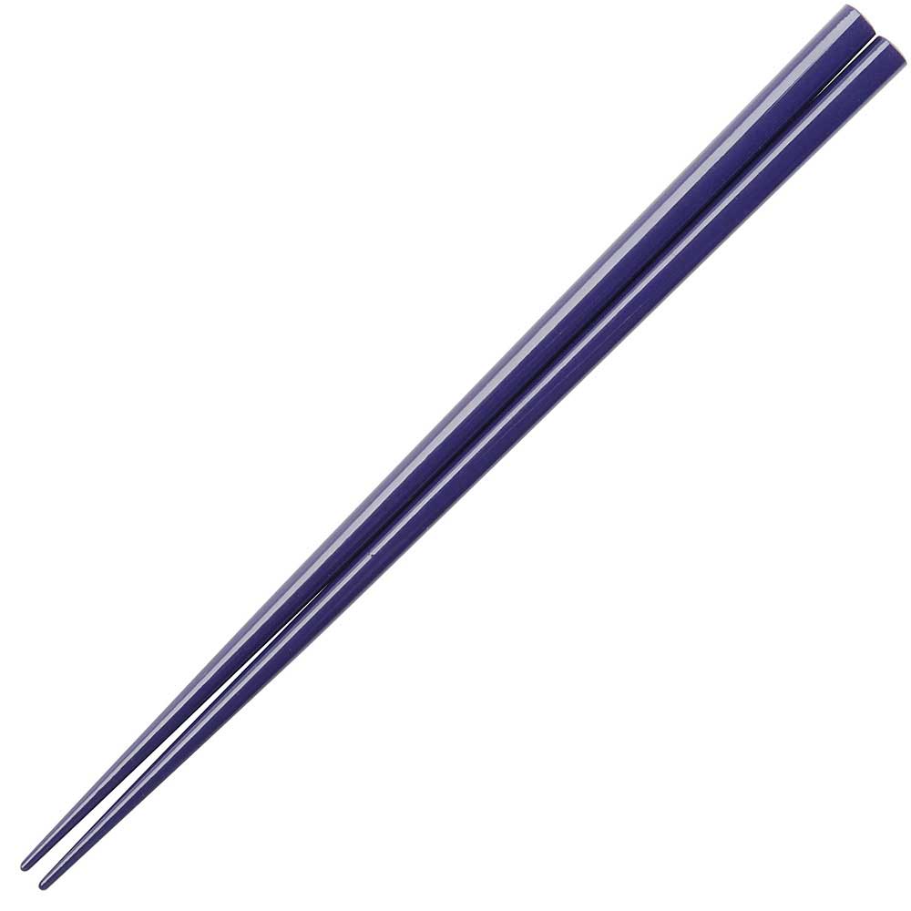 Glossy Colored Chopsticks - Box Turtle