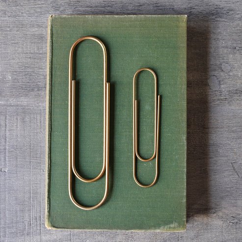 Oversized Paperclip - Box Turtle