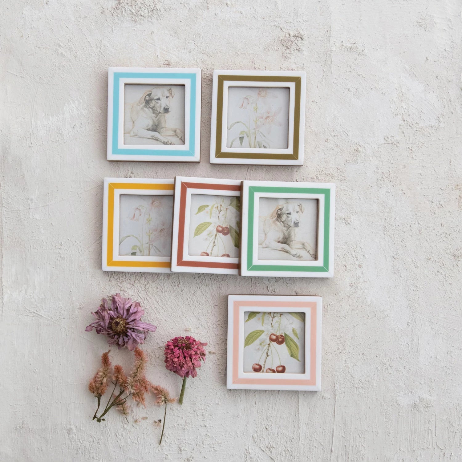 Stripe Resin & MDF Photo Frame Magnet - Box Turtle