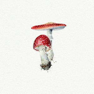 Mushrooms Miniature Watercolor Print