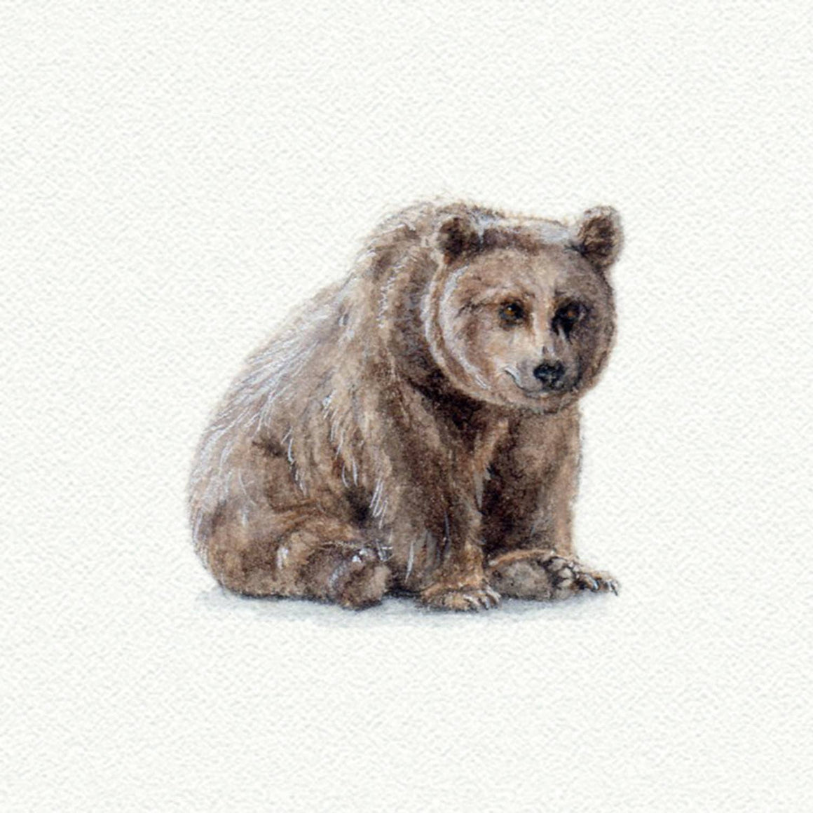 Brown Bear Miniature Watercolor Print