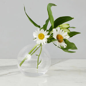 Clear Glass Sphere Bud Vase