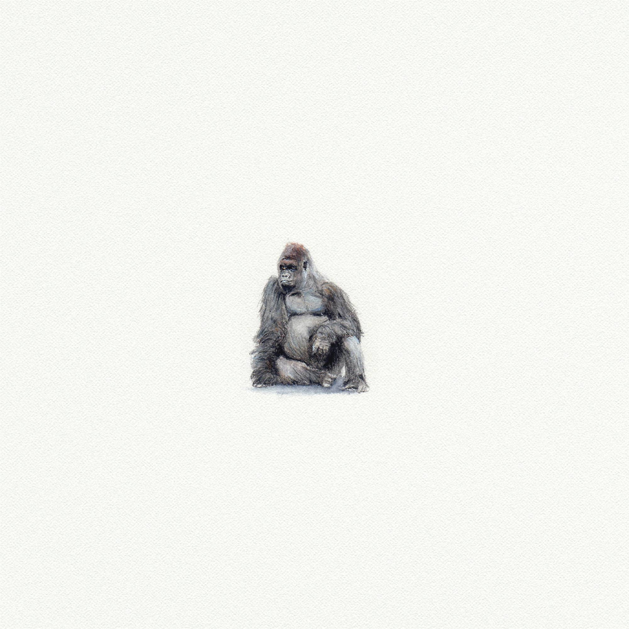 Gorilla Miniature Watercolor Print