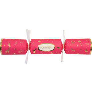 Surprise Crackers