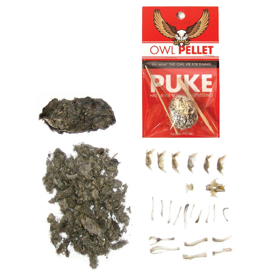 Owl Pellet Science Demo