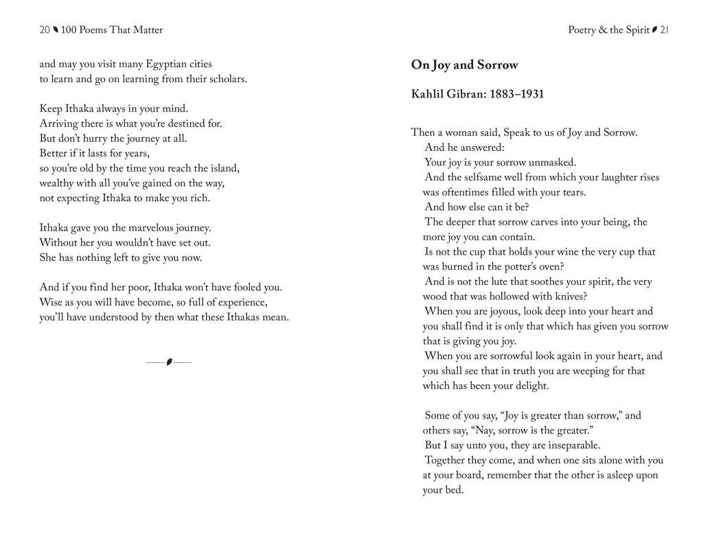 100 Poems That Matter - Box Turtle