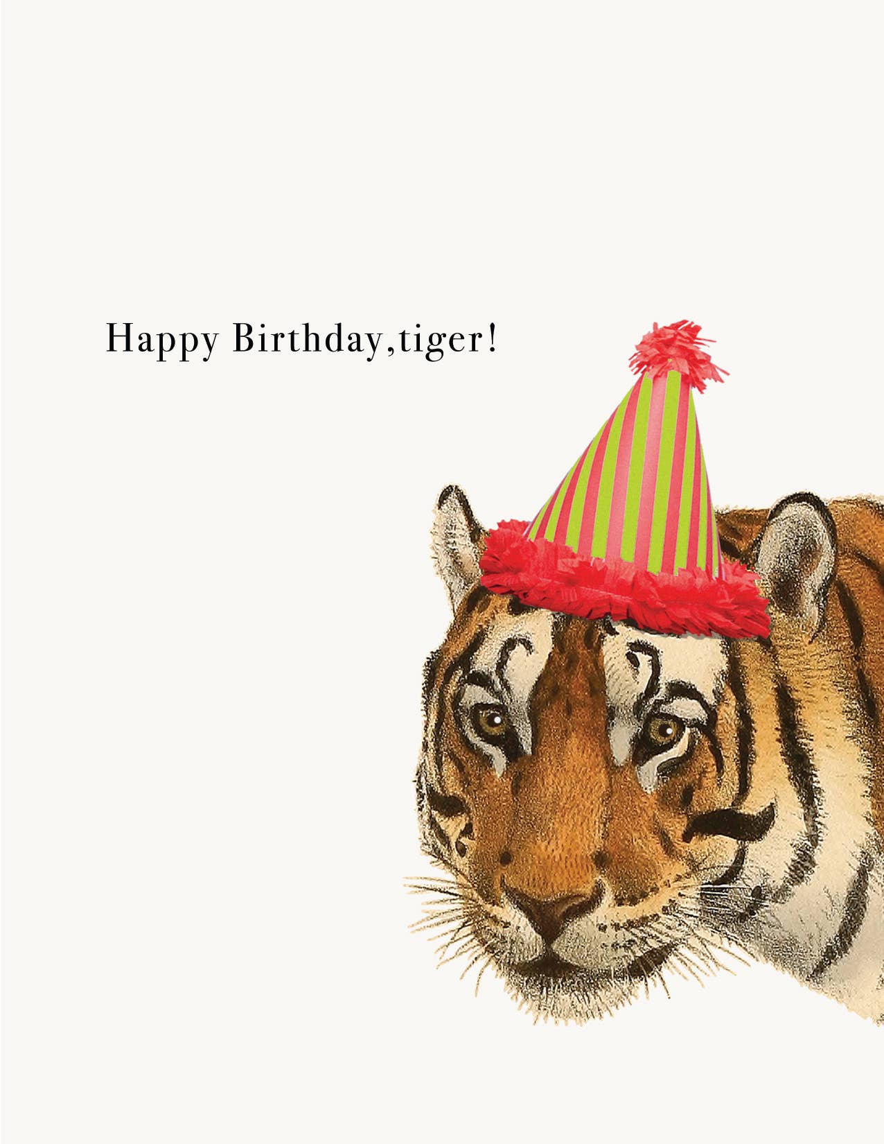 Happy Birthday tiger!• A-2 Greeting Card