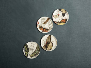 Specimen Coaster