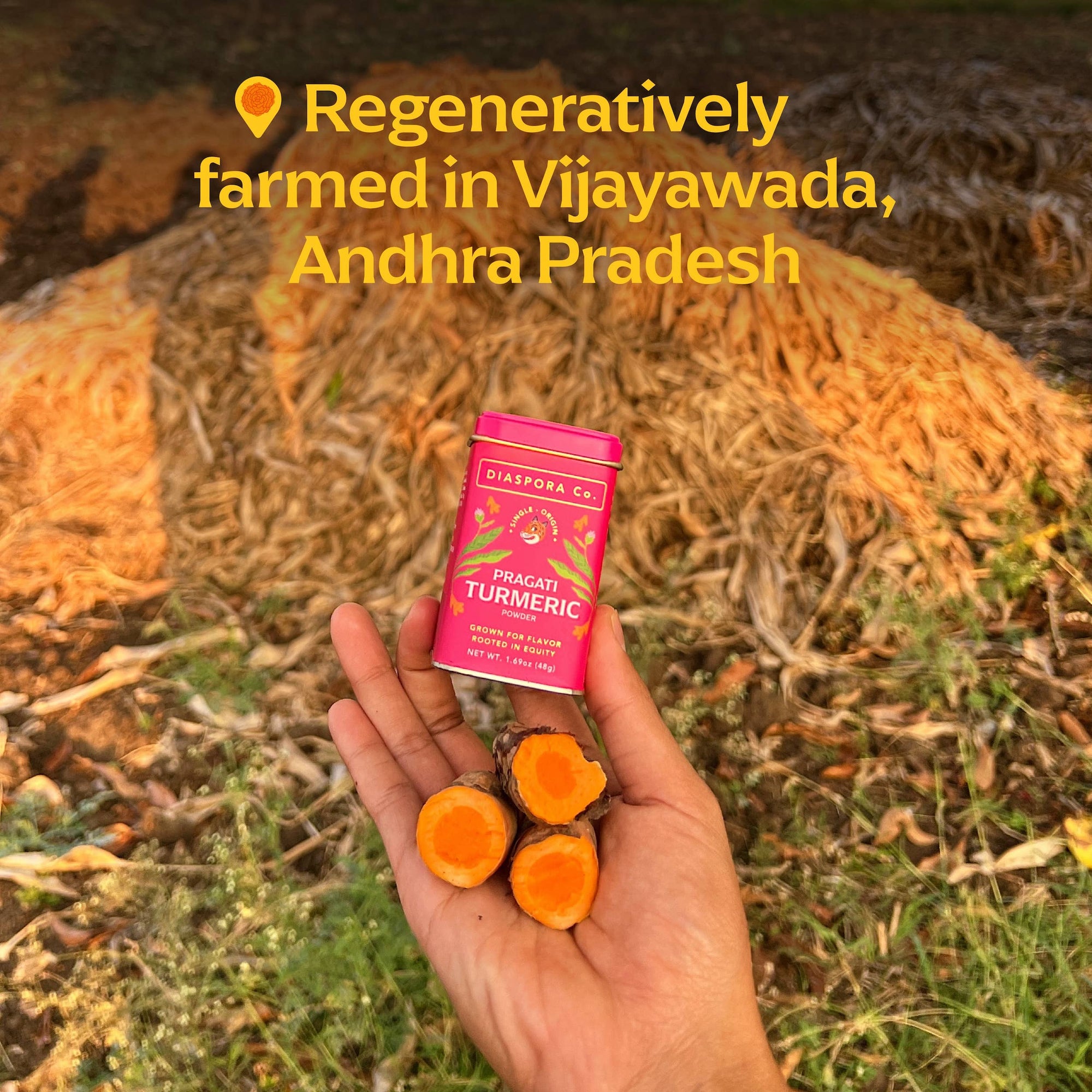 Pragati Turmeric Powder