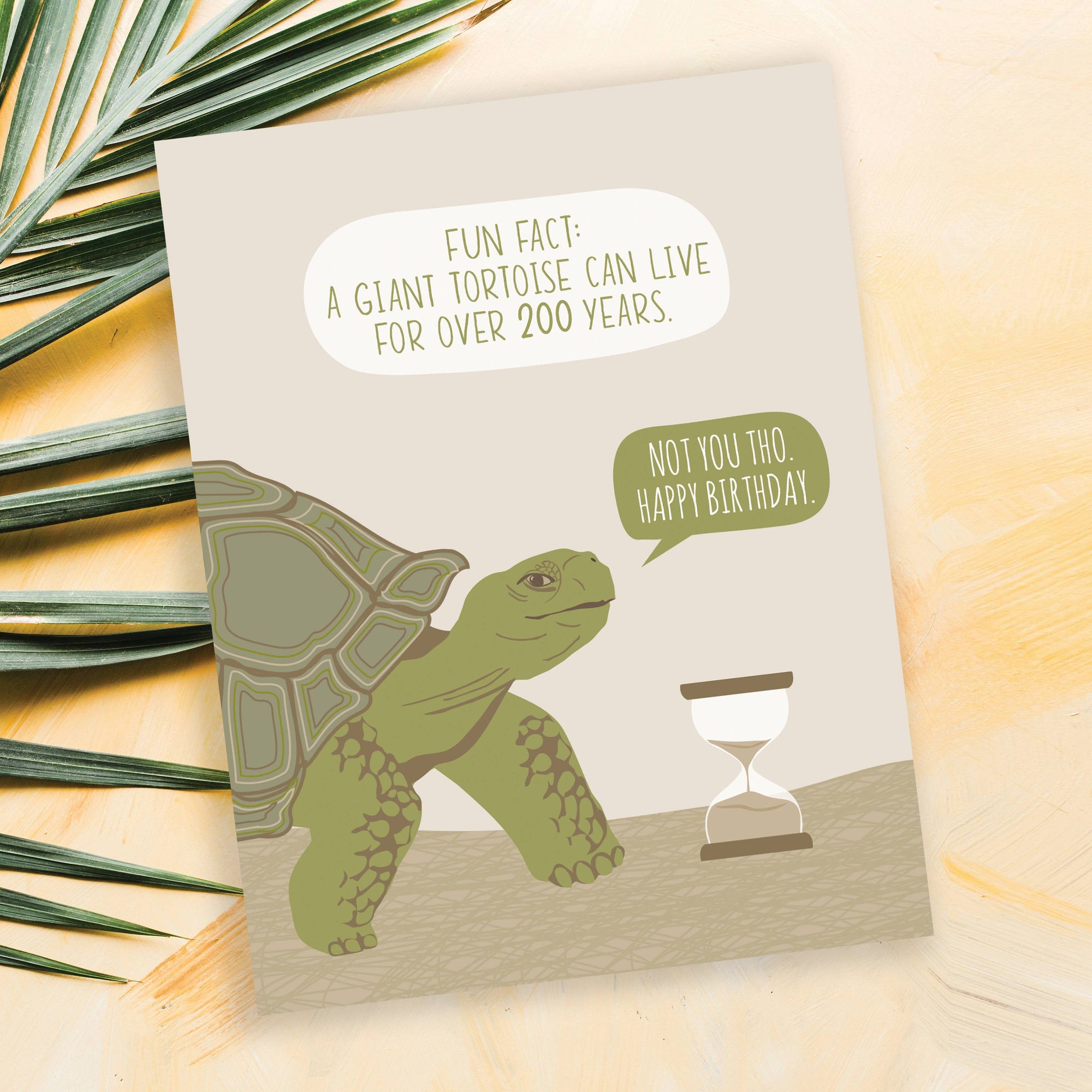 Tortoise Fact Funny Birthday Card