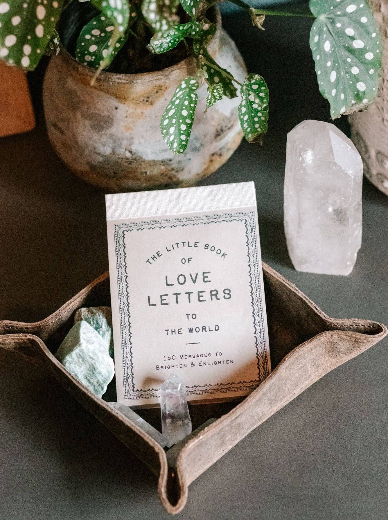 150 Love Letters to the World - Box Turtle