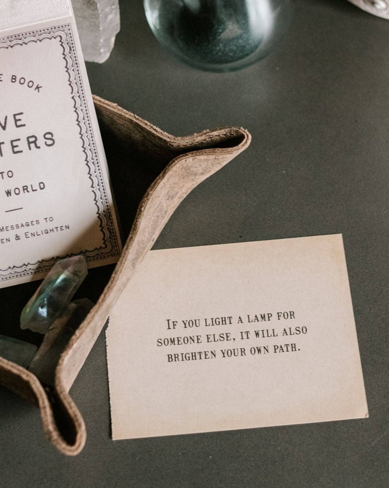 150 Love Letters to the World - Box Turtle