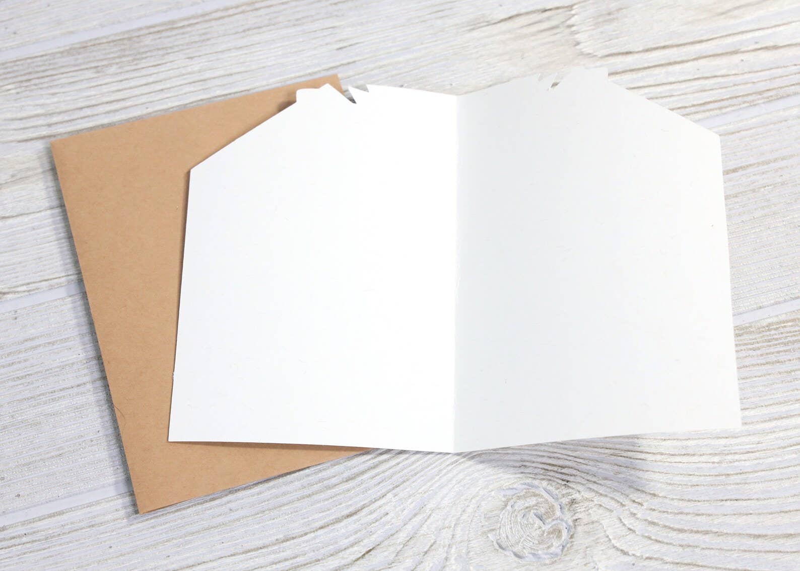 Thanks for All the Orgasms Anniversary Card
