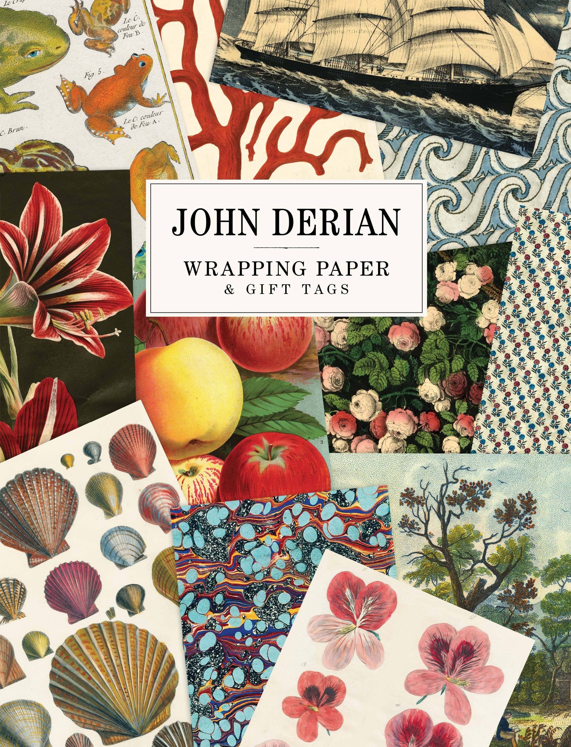 John Derian Paper Goods: Wrapping Paper