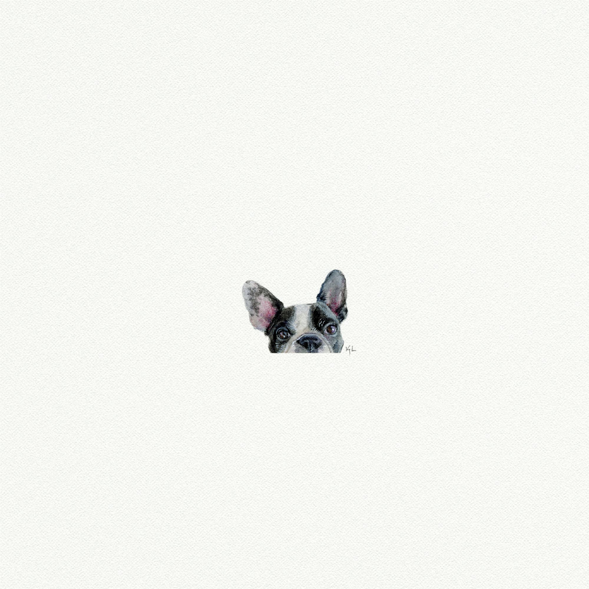 Peeking French Bulldog Watercolor Print