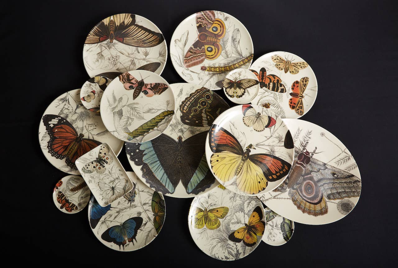 Specimen Large Round Tray