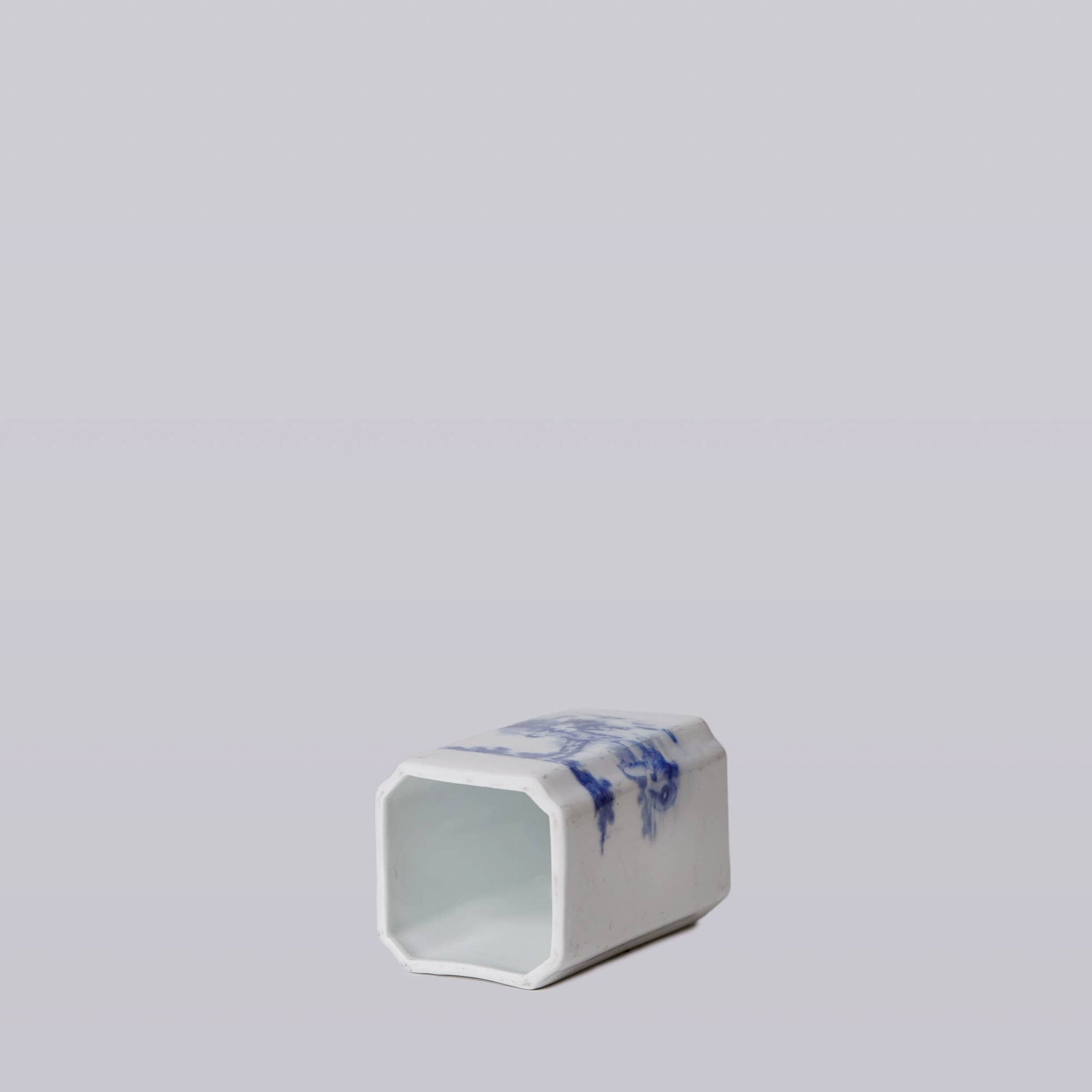 1920s Blue & White Porcelain Tiger Square Vase - Box Turtle