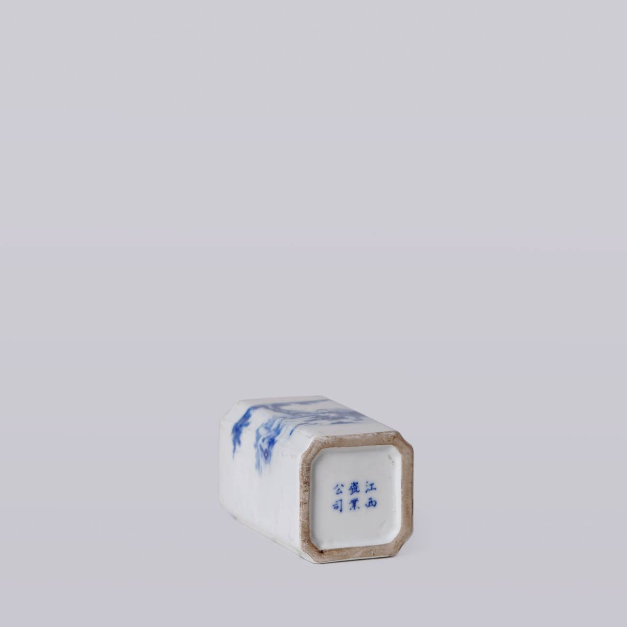 1920s Blue & White Porcelain Tiger Square Vase - Box Turtle