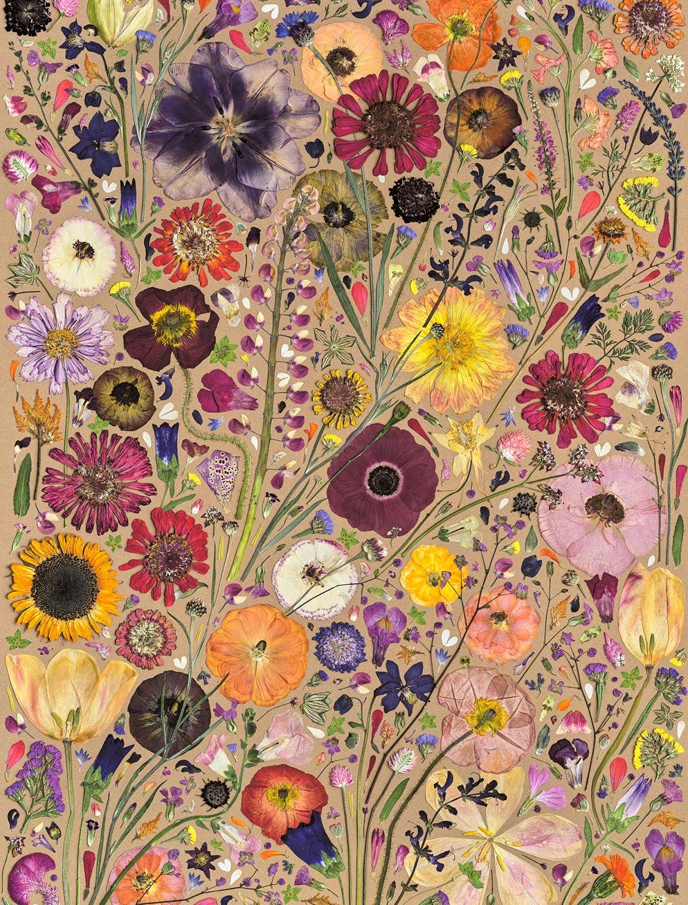 Beautiful Blooms Wrapping Paper Book