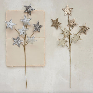 Paper Star Spray