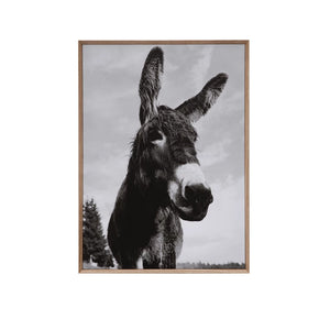 Framed Canvas Wall Decor with Donkey