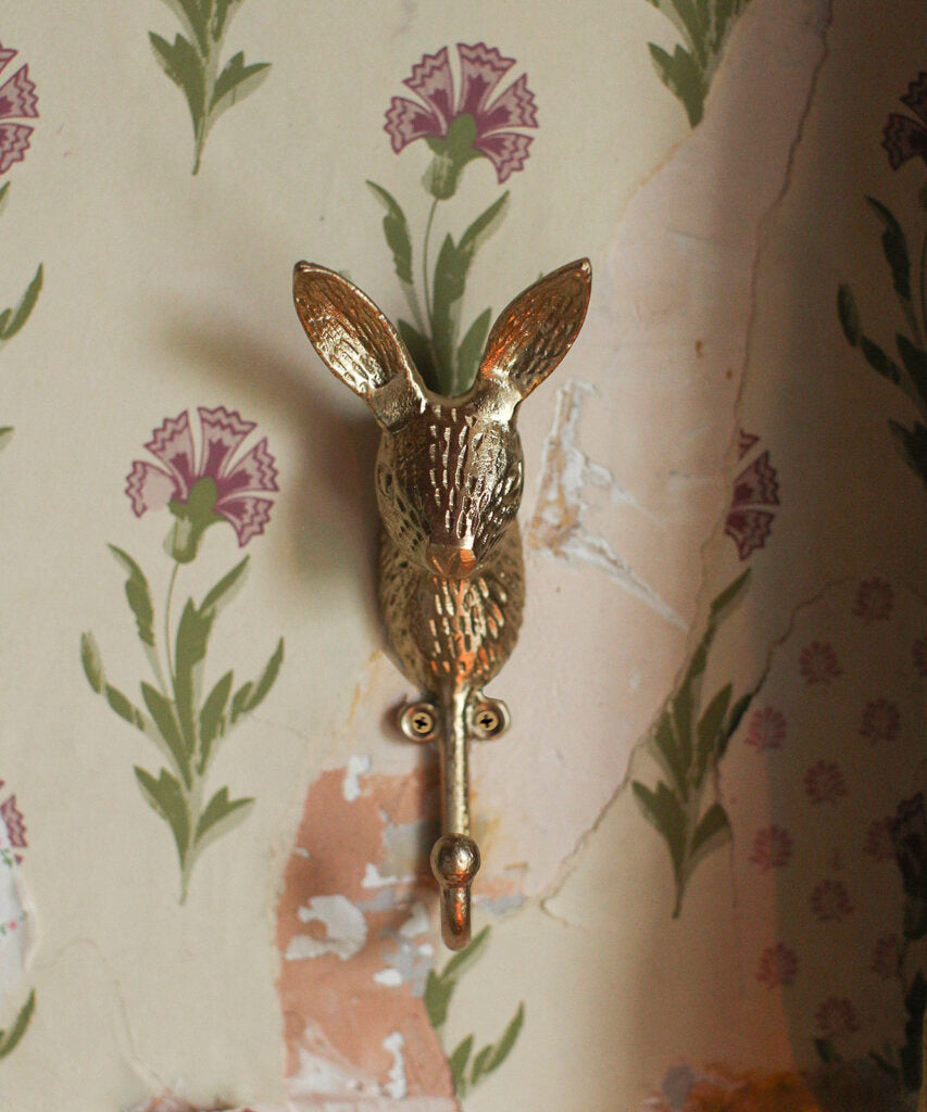 harri hare hook