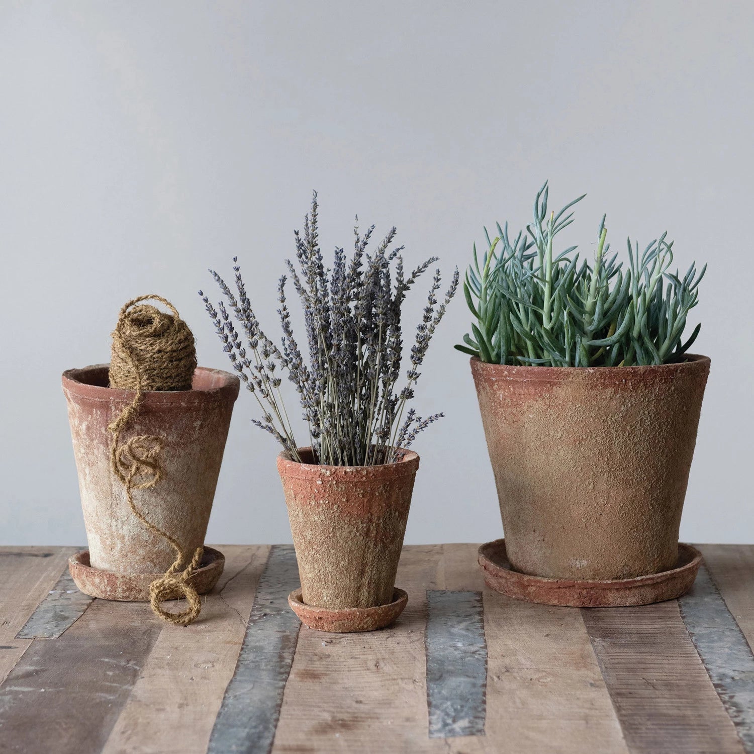 Distressed Terra-Cotta Cement Planter & Saucer