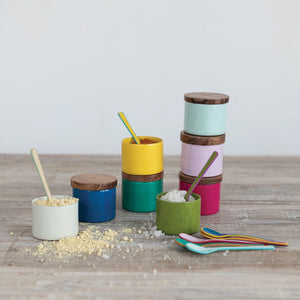 Colorful Stainless Steel Salt Spoon