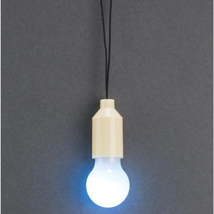 Mini Pull Light