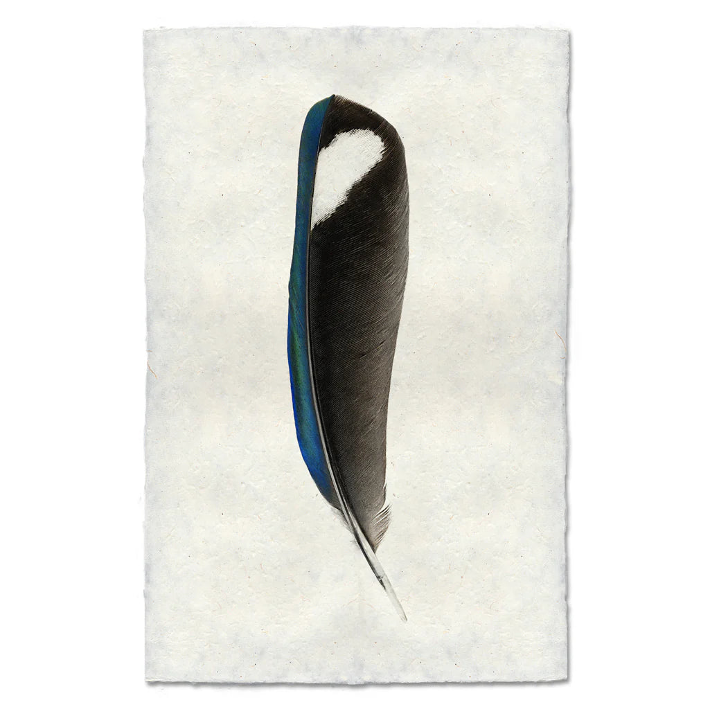 Magpie Print