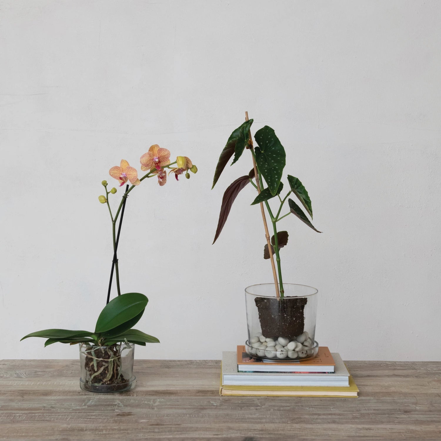 Hand-Blown Recycled Glass Planter & Saucer