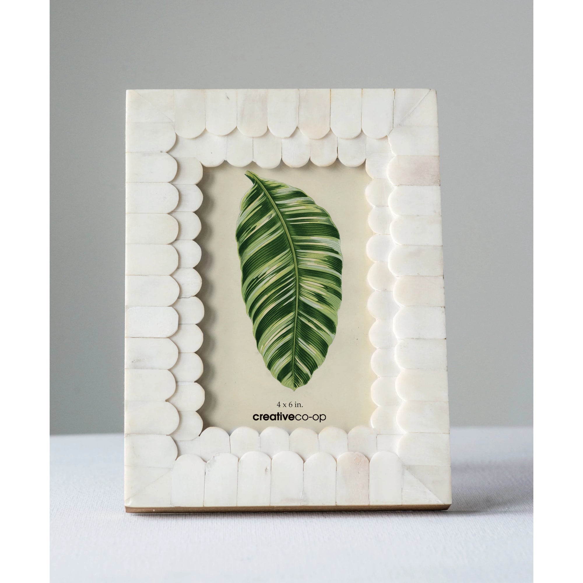 White Bone Scalloped Frame