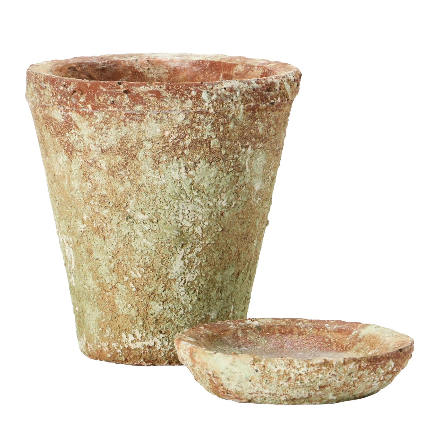 Distressed Terra-Cotta Cement Planter & Saucer
