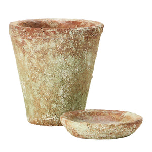 Distressed Terra-Cotta Cement Planter & Saucer