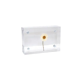 Acrylic Standing Frame