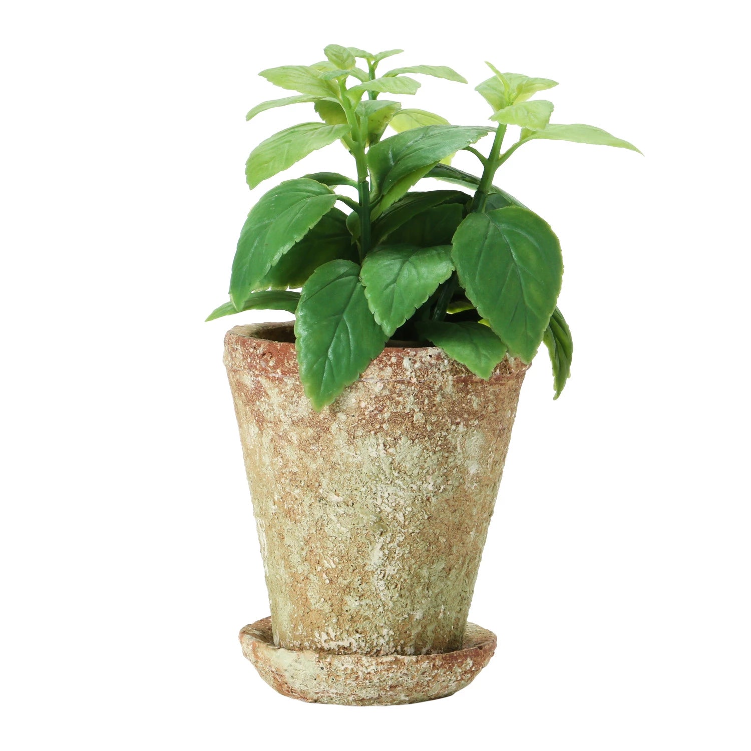 Distressed Terra-Cotta Cement Planter & Saucer