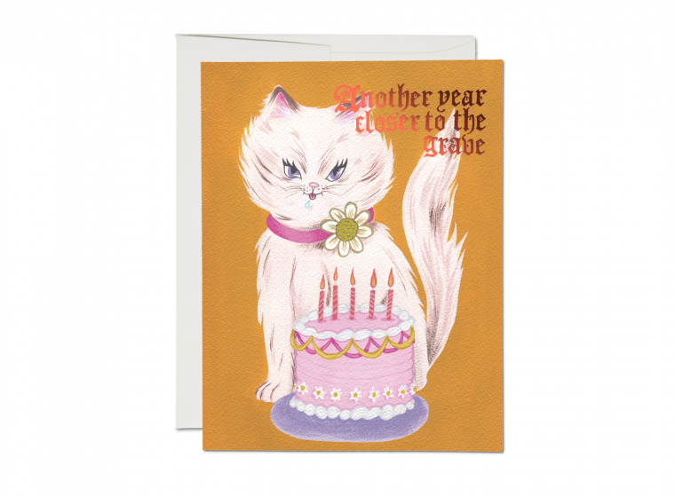 Kitty and Cake Birthday Card