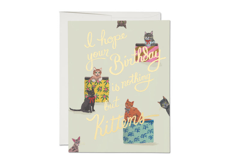 Nothing But Kittens