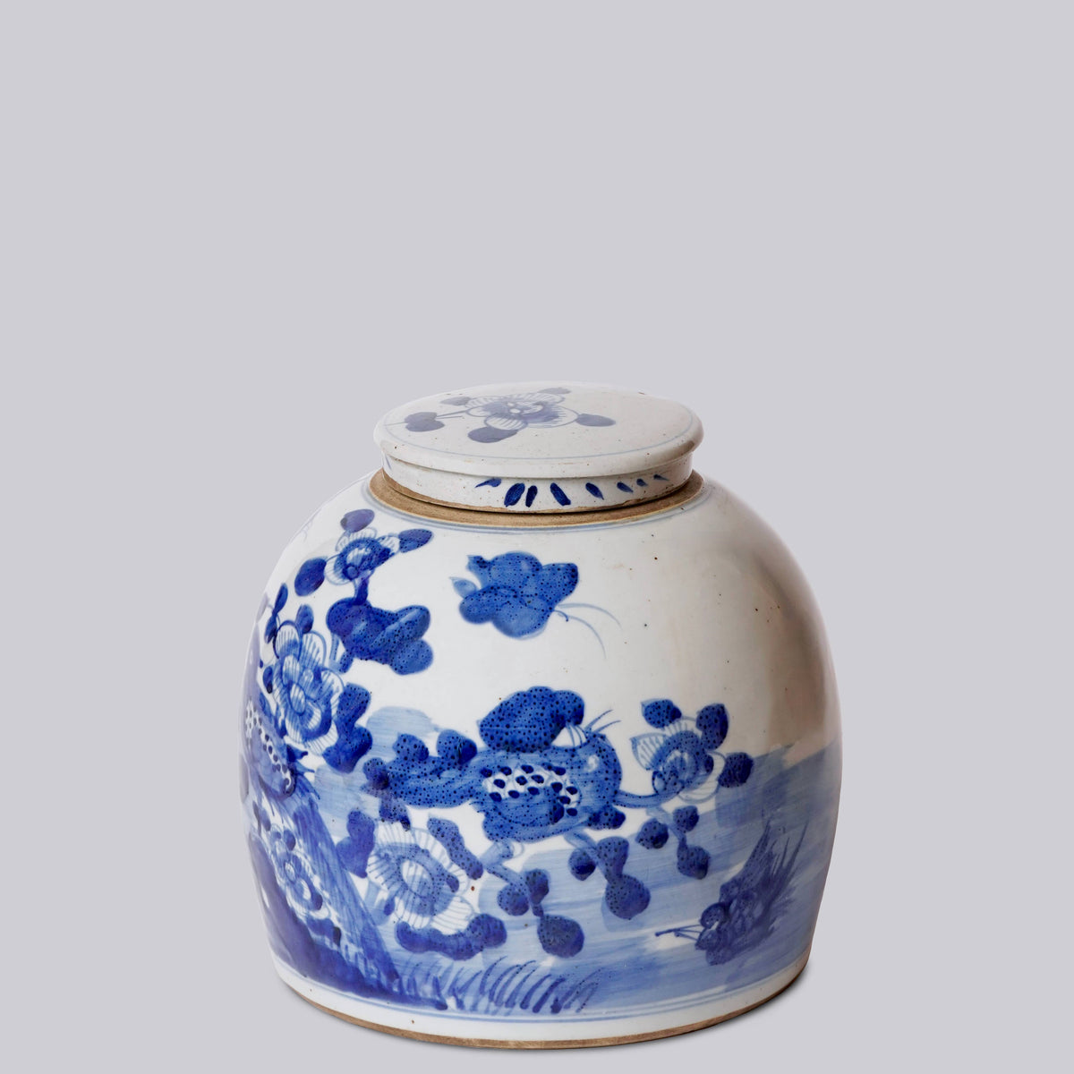 Blue &amp; White Porcelain Bird &amp; Flower Storage Jar