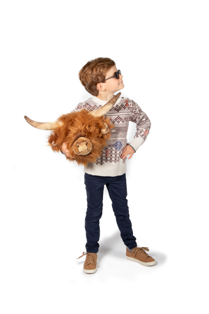 Nicolas the Highland Cow Wall Hanger