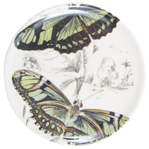 Specimen Coaster